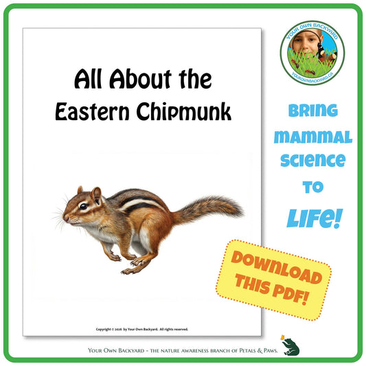 Product image for downloadable PDF, 'All About Mammals - the Eastern Chipmunk', an elementary-level unit study product by Your Own Backyard | Petals & Paws.