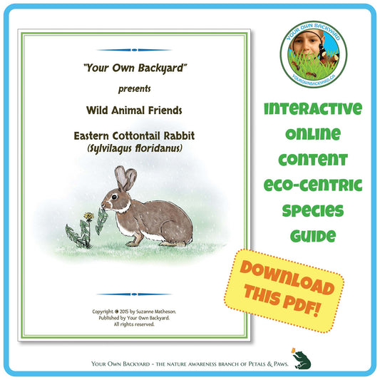 Product cover image for Eastern Cottontail Interactive Species Guide. Product cover fills the left side, with Your Own Backyard logo in the top right, product info below this, and call-out, "Download This PDF!" further down. "Your Own Backyard - The Nature Awareness Branch of Petals & Paws" runs along the bottom.
