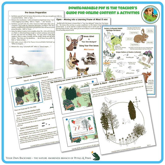 Six pages displayed to represent the teacher's guide for online content and activities within this Eastern Cottontail Interactive Species product.  "Your Own Backyard - The Nature Awareness Branch of Petals & Paws" runs along the bottom.