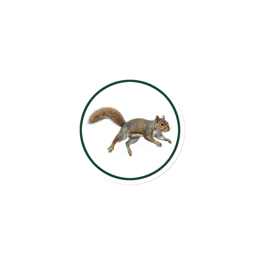 Product mockup of Eastern Gray (Grey) Squirrel Circular Magnet, a 3" die-cut magnet featuring a realistic squirrel within a green circle.