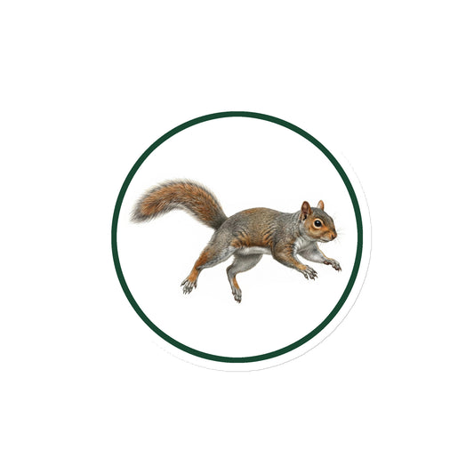 Product mockup of Eastern Gray  (Grey) Squirrel Circular Magnet, a 4" die-cut magnet featuring a realistic squirrel within a green circle.