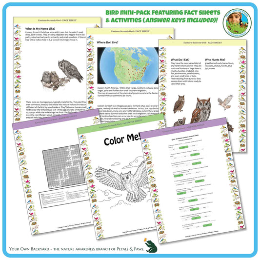 Internal pages of, 'All About Birds - the Eastern Screech Owl' downloadable PDF product, an elementary-level unit by Your Own Backyard | Petals & Paws. Pages include natural history fact sheets and various printable worksheets.
