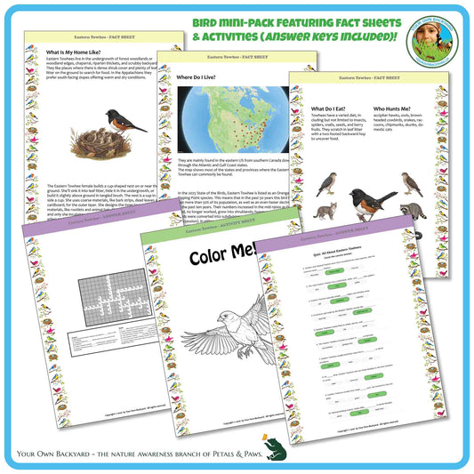Internal pages of, 'All About Birds - the Eastern Towhee' downloadable PDF product, an elementary-level unit by Your Own Backyard | Petals & Paws. Pages include natural history fact sheets and various printable worksheets.