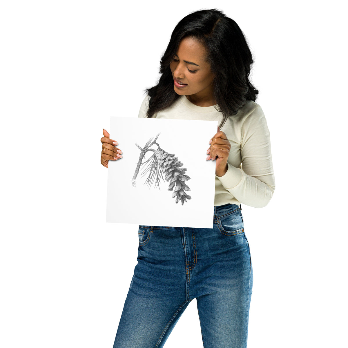 Person holding 10x10 inch museum-quality print of Pinus strobus - Eastern White Pine graphite illustration of a pinecone to show relative size. Illustrated by Suzanne Matheson, 2017.