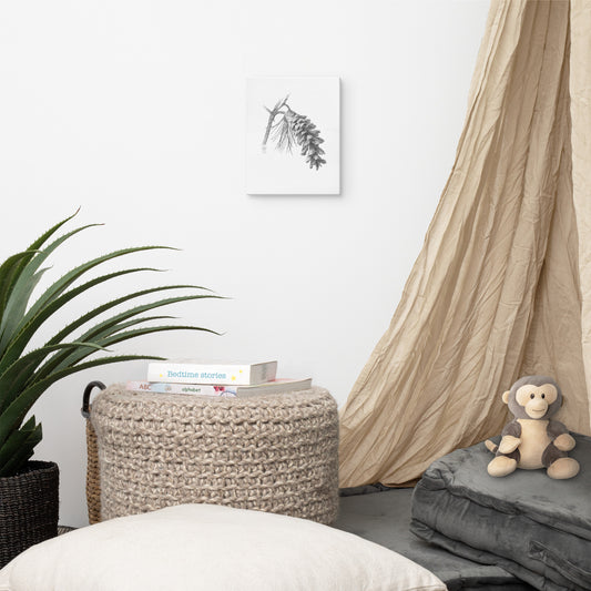 Gallery-wrapped canvas of Pinus strobus - Eastern White Pine, graphite depiction of an Eastern white pinecone on a winter-bare branch, hanging on a wall with surrounding home furnishings.  Illustrated by Suzanne Matheson, 2017.