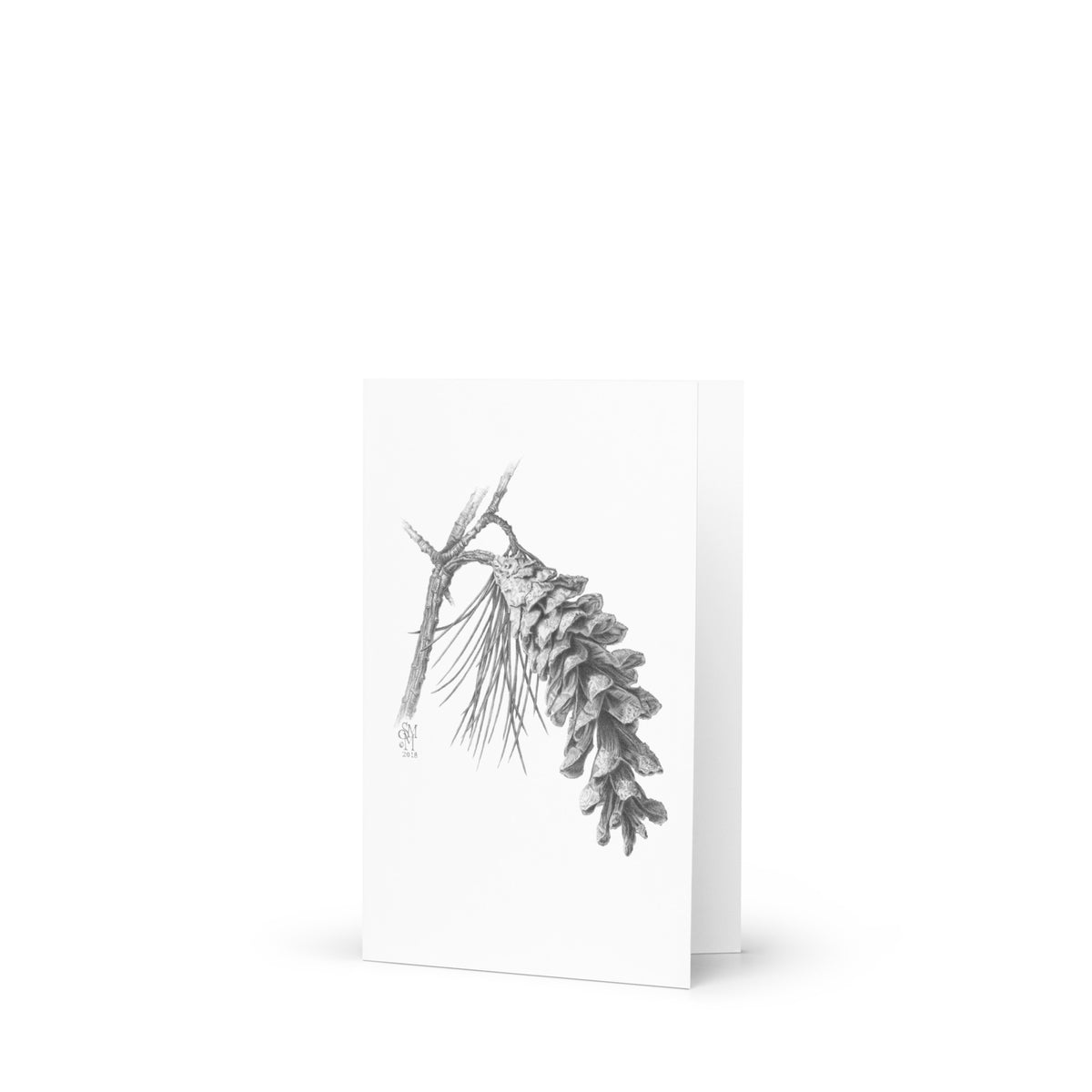 Product mockup of Pinus strobus - Eastern White Pine 4x6 card standing open. Graphite depiction of an Eastern white pinecone on a winter-bare branch.  Illustrated by Suzanne Matheson, 2017.