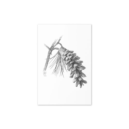 Product mockup flat-lay of 4x6 Pinus strobus - Eastern White Pine, graphite depiction of an Eastern white pinecone on a winter-bare branch.  Illustrated by Suzanne Matheson, 2017.