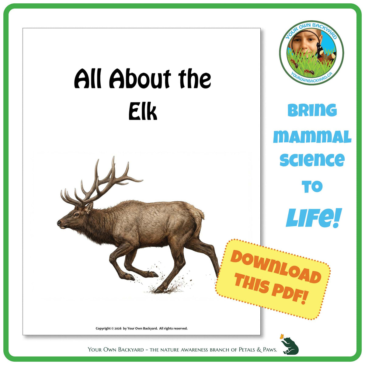 Product image for downloadable PDF, 'All About Mammals - the Elk', an elementary-level unit study product by Your Own Backyard | Petals & Paws.