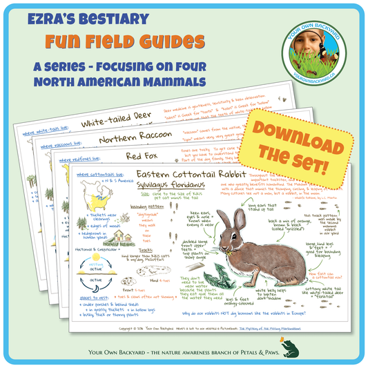 Cover for pdf download and printable Ezra's Bestiary Field Guides Bundle. It shows the four, two-page journal-style field guides stacked and fanned for title visibility, with cottontail on top. Image has product info above, along with Your Own Backyard logo. Call-out, "Download The Set!" and "Your Own Backyard - The Nature Awareness Branch of Petals & Paws" runs along the bottom.