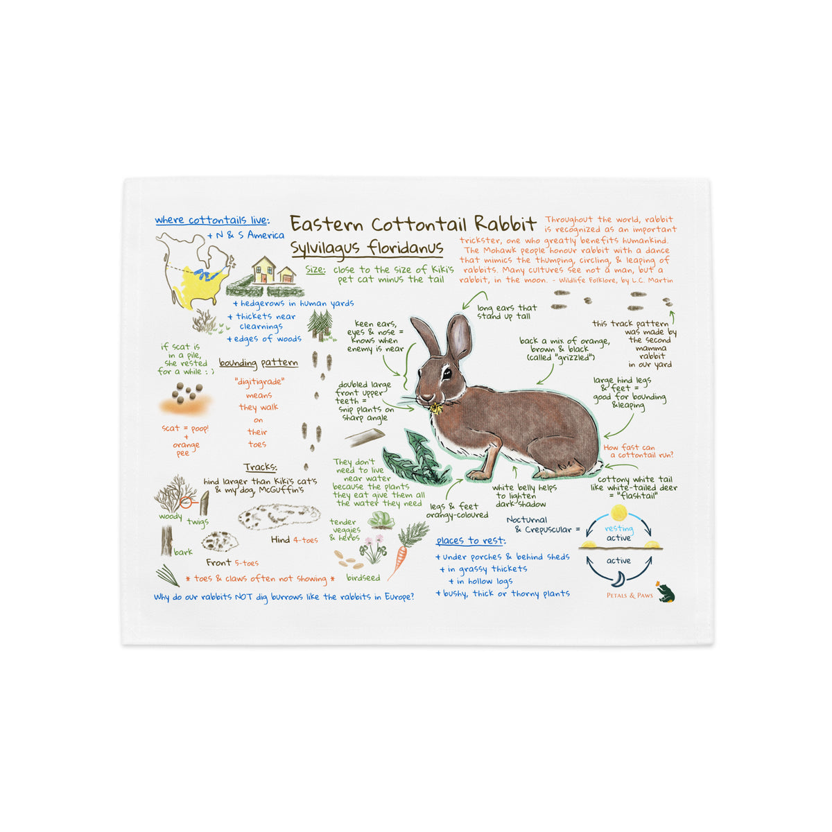 Product mockup of Ezra's Bestiary Field Guide Placemat featuring Eastern Cottontail Rabbit. The placemat shows a colorful journal field guide page with natural history text and images on white, hemmed broadcloth.