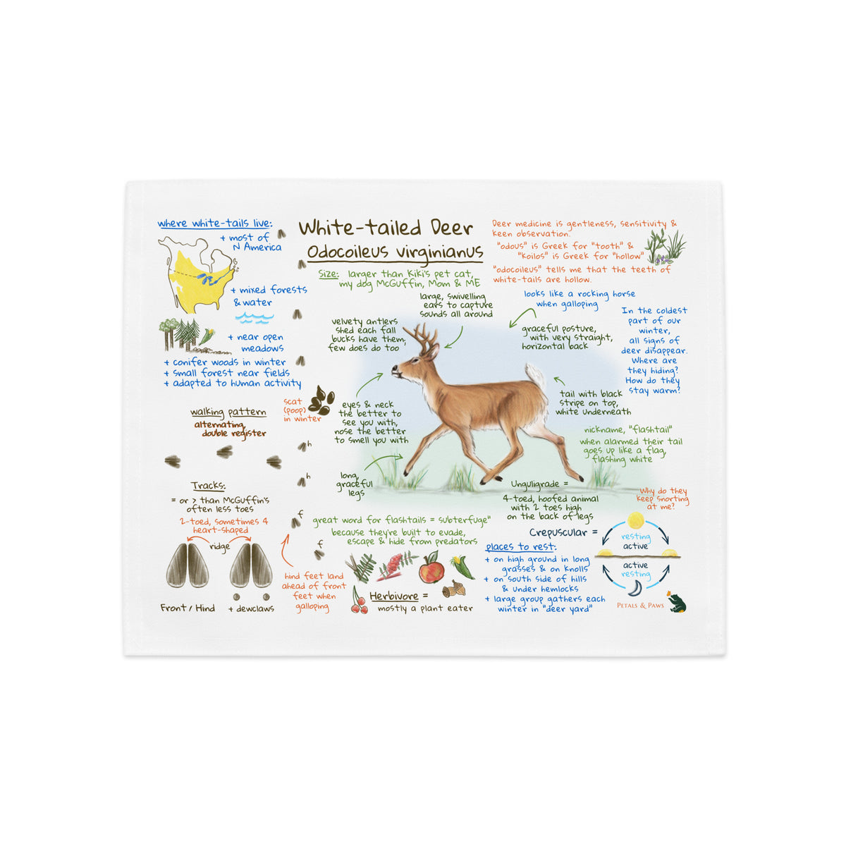 Product mockup of Ezra's Bestiary Field Guide Placemat featuring White-tailed Deer. The placemat shows a colorful journal field guide page with natural history text and images on white, hemmed broadcloth.
