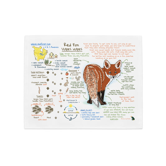 Product mockup of Ezra's Bestiary Field Guide Placemat featuring Red Fox. The placemat shows a colorful journal field guide page with natural history text and images on white, hemmed broadcloth.