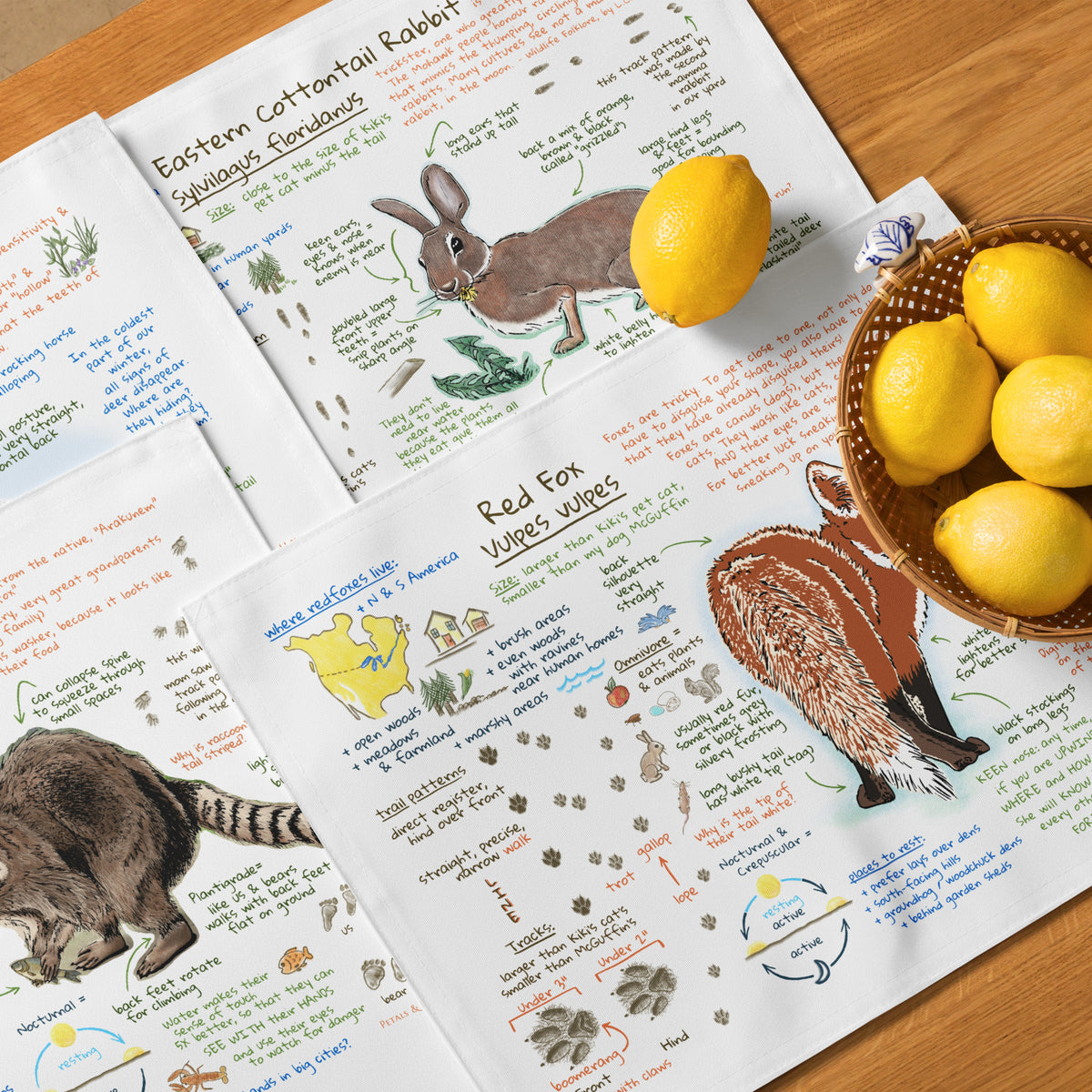 Ezra's Bestiary Field Guide Placemat Set of 4 are spread out on a faux-wood table, along with lemons in a basket. The placemats show colorful journal field guide pages with natural history text and images on white, hemmed broadcloth.
