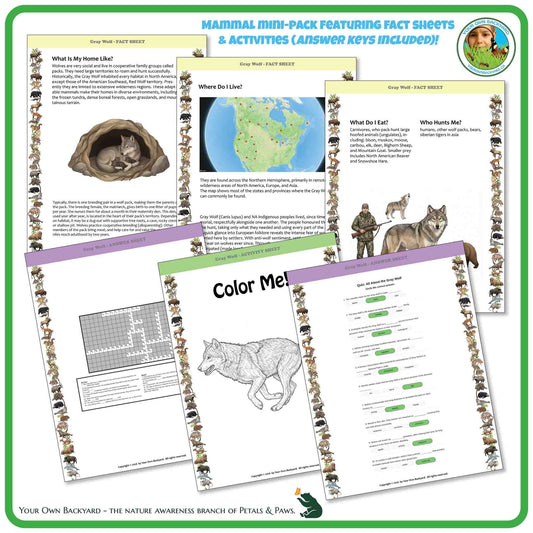 Internal pages of, 'All About Mammals - the Gray Wolf' downloadable PDF product, an elementary-level unit by Your Own Backyard | Petals & Paws. Pages include natural history fact sheets and various printable worksheets.