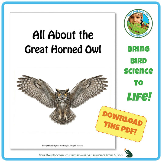 Product image for downloadable PDF, 'All About Birds - the Great Horned Owl', an elementary-level unit study product by Your Own Backyard | Petals & Paws.
