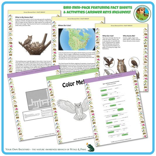 Internal pages of, 'All About Birds - the Great Horned Owl' downloadable PDF product, an elementary-level unit by Your Own Backyard | Petals & Paws. Pages include natural history fact sheets and various printable worksheets.