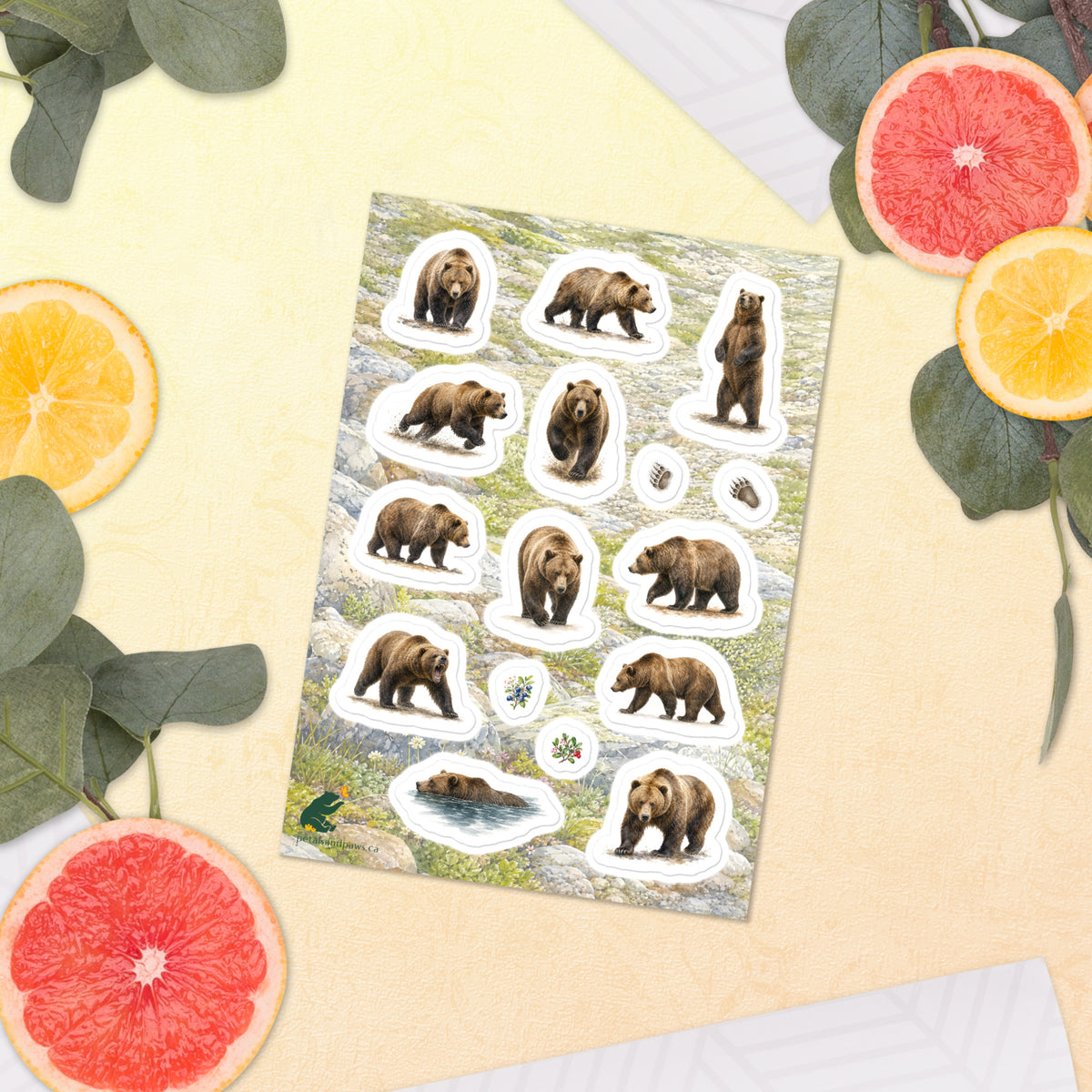 A sheet of kiss-cut stickers featuring illustrated grizzly bears on the move, with a background of rocky mountain icefields terrain, placed next to citrus slices on a warm-colored background.