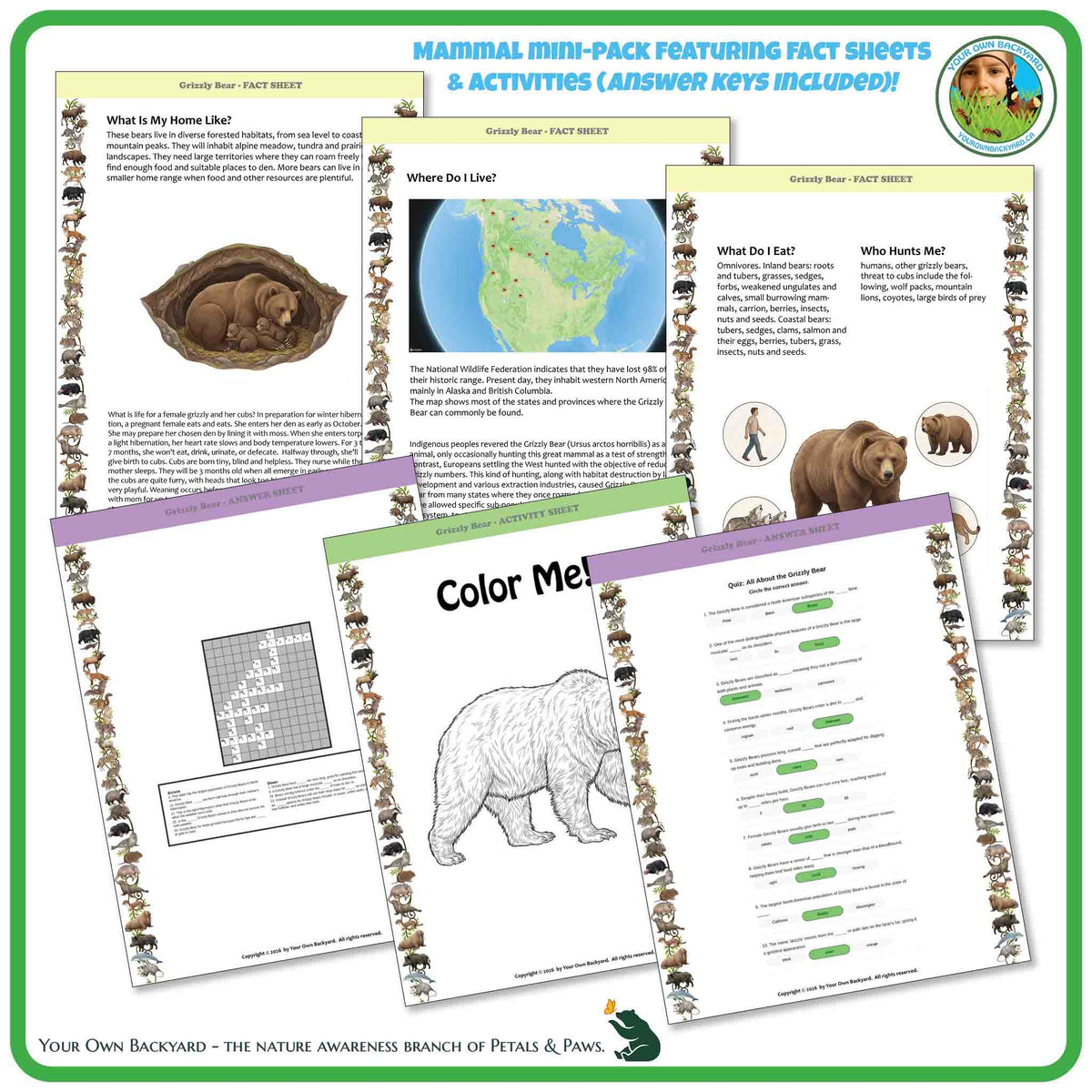 Internal pages of, 'All About Mammals - the Grizzly Bear' downloadable PDF product, an elementary-level unit by Your Own Backyard | Petals & Paws. Pages include natural history fact sheets and various printable worksheets.