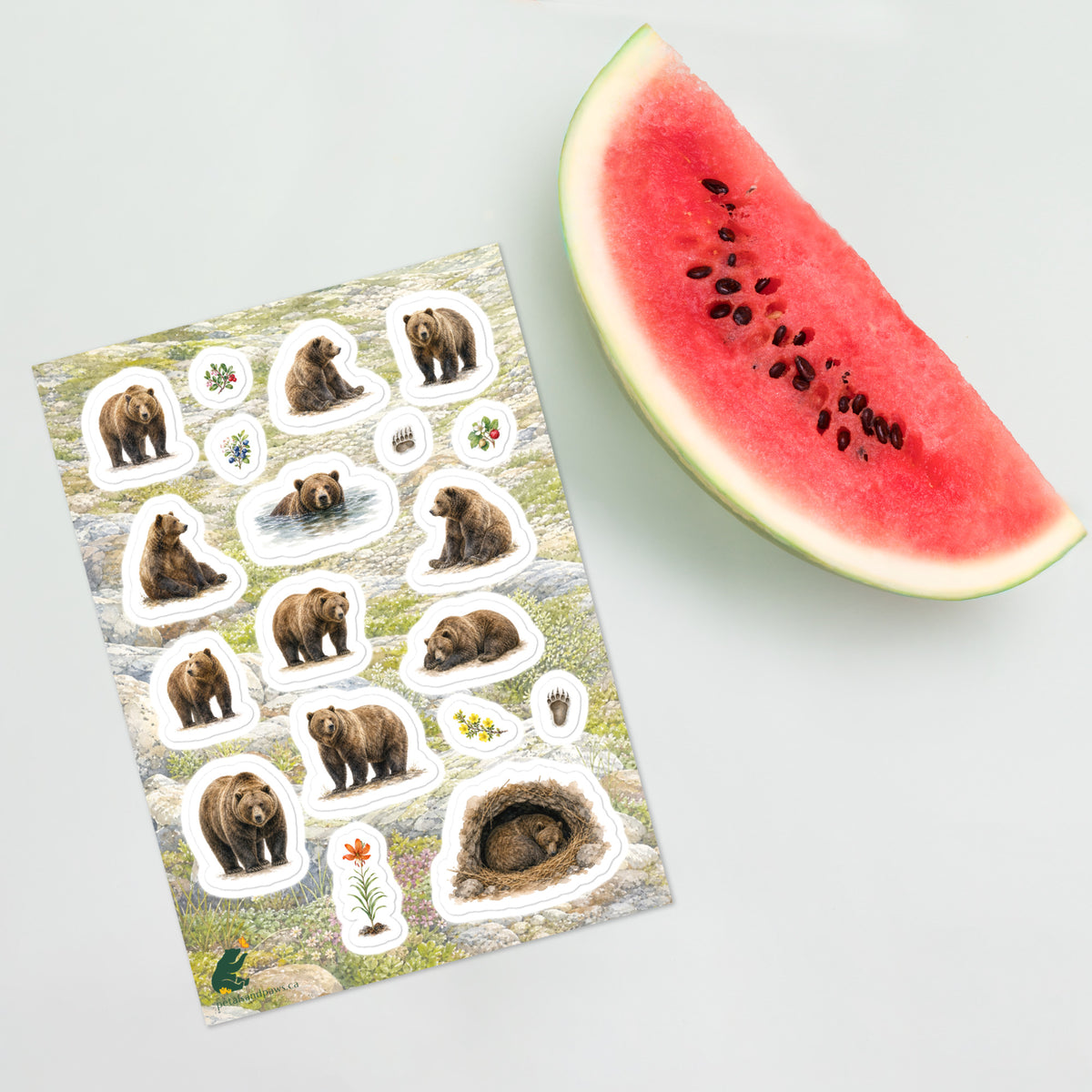 A sheet of kiss-cut stickers featuring illustrated grizzly bears resting, with a background of rocky mountain icefields terrain, placed next to a slice of watermelon.
