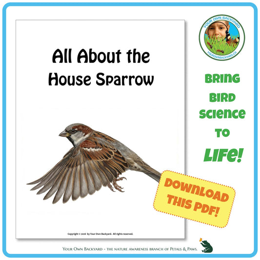 Product image for downloadable PDF, 'All About Birds - the House Sparrow', an elementary-level unit study product by Your Own Backyard | Petals & Paws.
