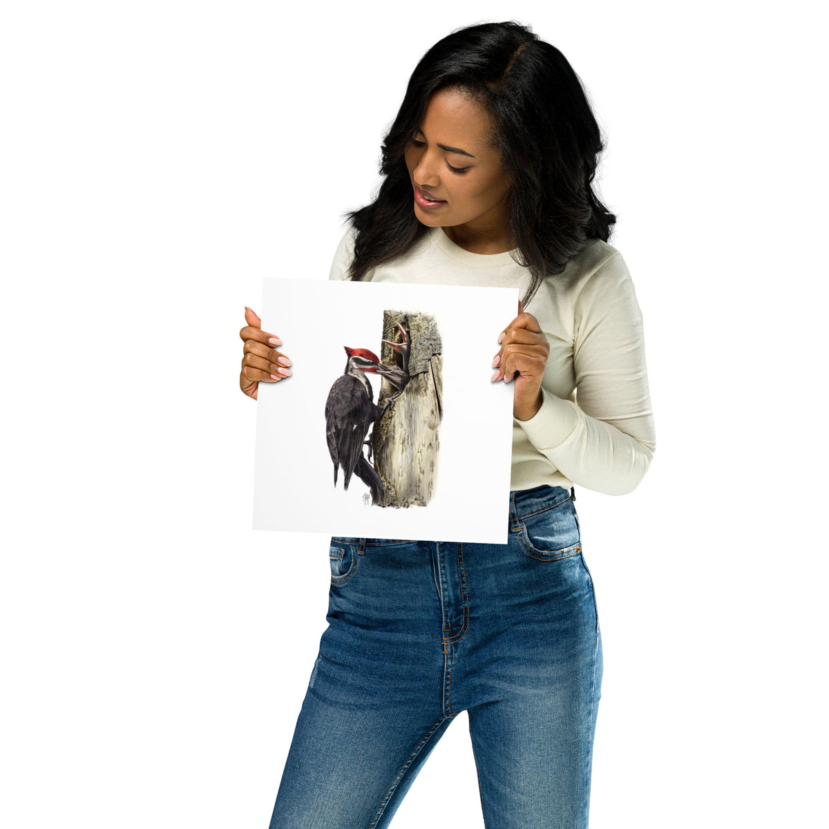 Person holding 10x10 inch museum-quality print of The Hungry Hour illustration of Pileated Woodpeckers to show relative size. Illustrated by Suzanne Matheson, 2017.