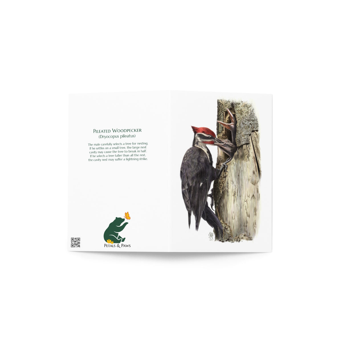 The Hungry Hour Greeting Card, open, showing front and back. The front features the Pileated Woodpecker illustration. The back features interesting fact and Petals & Paws logo.