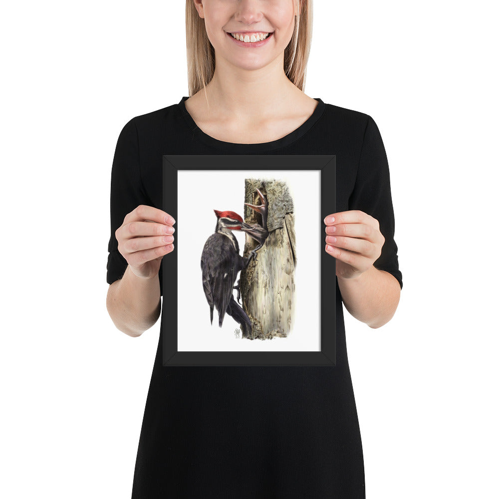 Person holding 8x10 inch black framed print of The Hungry Hour illustration of Pileated Woodpeckers to show relative size. Illustrated by Suzanne Matheson, 2017.