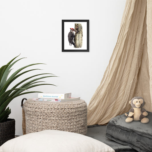 Black framed print of The Hungry Hour, about Pileated Woodpecker parenting, hanging on a wall with surrounding home furnishings.  Illustrated by Suzanne Matheson, 2017.