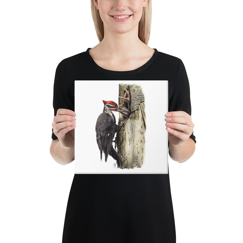 Person holding 10x10 inch gallery-wrapped canvas of The Hungry Hour illustration of Pileated Woodpeckers to show relative size. Illustrated by Suzanne Matheson, 2017.