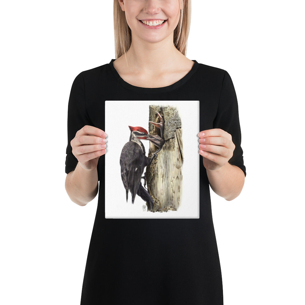 Person holding 8x10 inch gallery-wrapped canvas of The Hungry Hour illustration of Pileated Woodpeckers to show relative size. Illustrated by Suzanne Matheson, 2017.