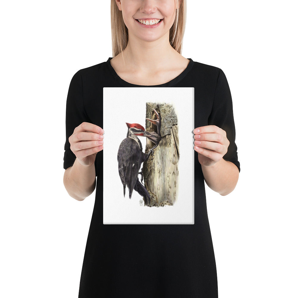 Person holding 8x12 inch gallery-wrapped canvas of The Hungry Hour illustration of Pileated Woodpeckers to show relative size. Illustrated by Suzanne Matheson, 2017.