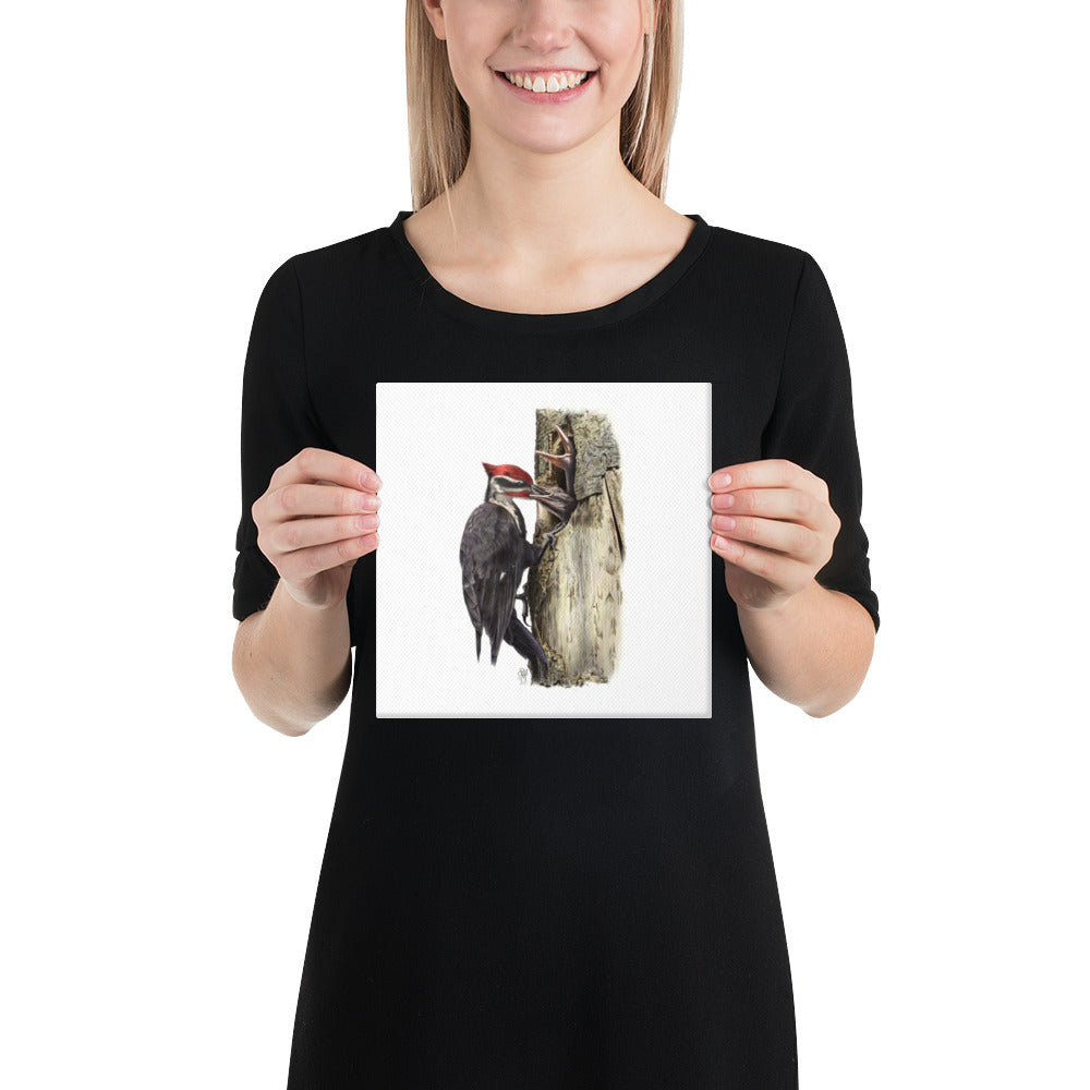 Person holding 8x8 inch gallery-wrapped canvas of The Hungry Hour illustration of Pileated Woodpeckers to show relative size. Illustrated by Suzanne Matheson, 2017.
