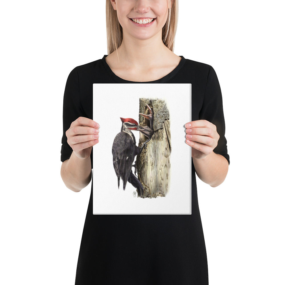 Person holding 9x12 inch gallery-wrapped canvas of The Hungry Hour illustration of Pileated Woodpeckers to show relative size. Illustrated by Suzanne Matheson, 2017.
