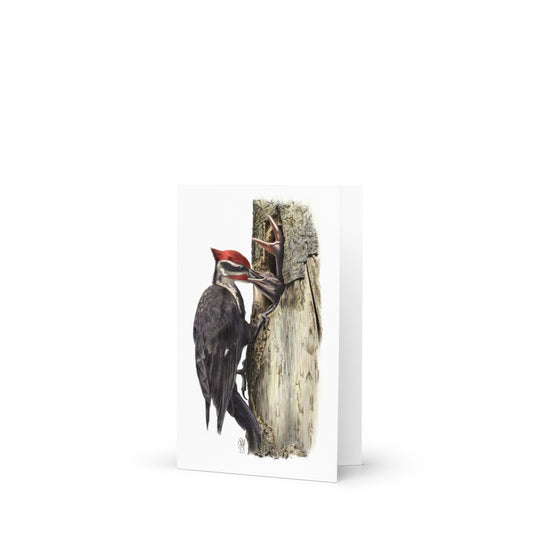 Product mockup of 4x6 card, The Hungry Hour, standing open. Depicts a father Pileated Woodpecker feeding two nestlings at their nest cavity.  Illustrated by Suzanne Matheson, 2017.