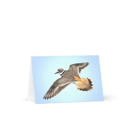 Product mockup of the Killdeer Greeting Card, standing open, with a realistic flying killdeer against a clear blue sky.