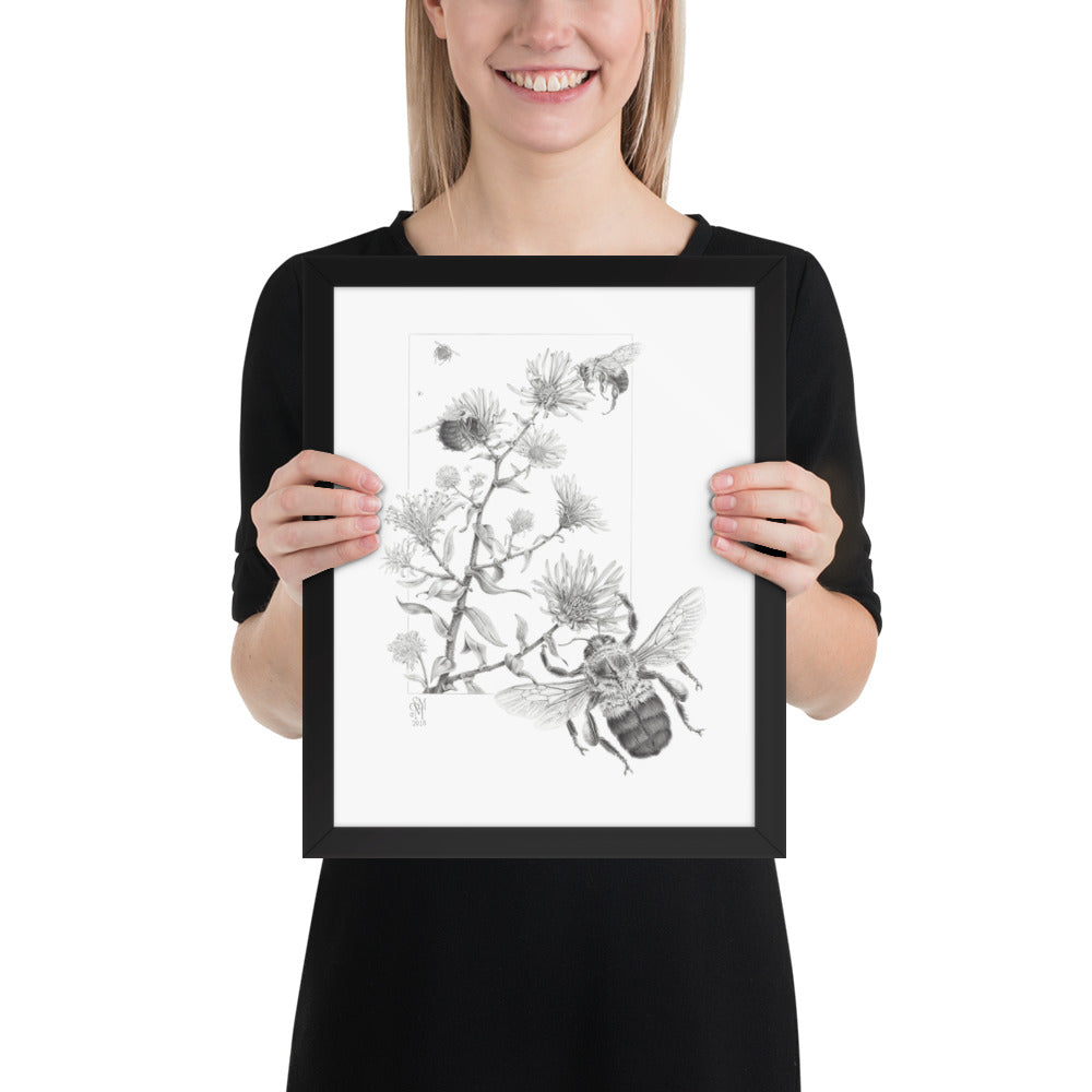 Person holding 11x14 inch black framed print of Late Autumn Forage illustration of bumblebees and asters to show relative size. Illustrated by Suzanne Matheson, 2017.