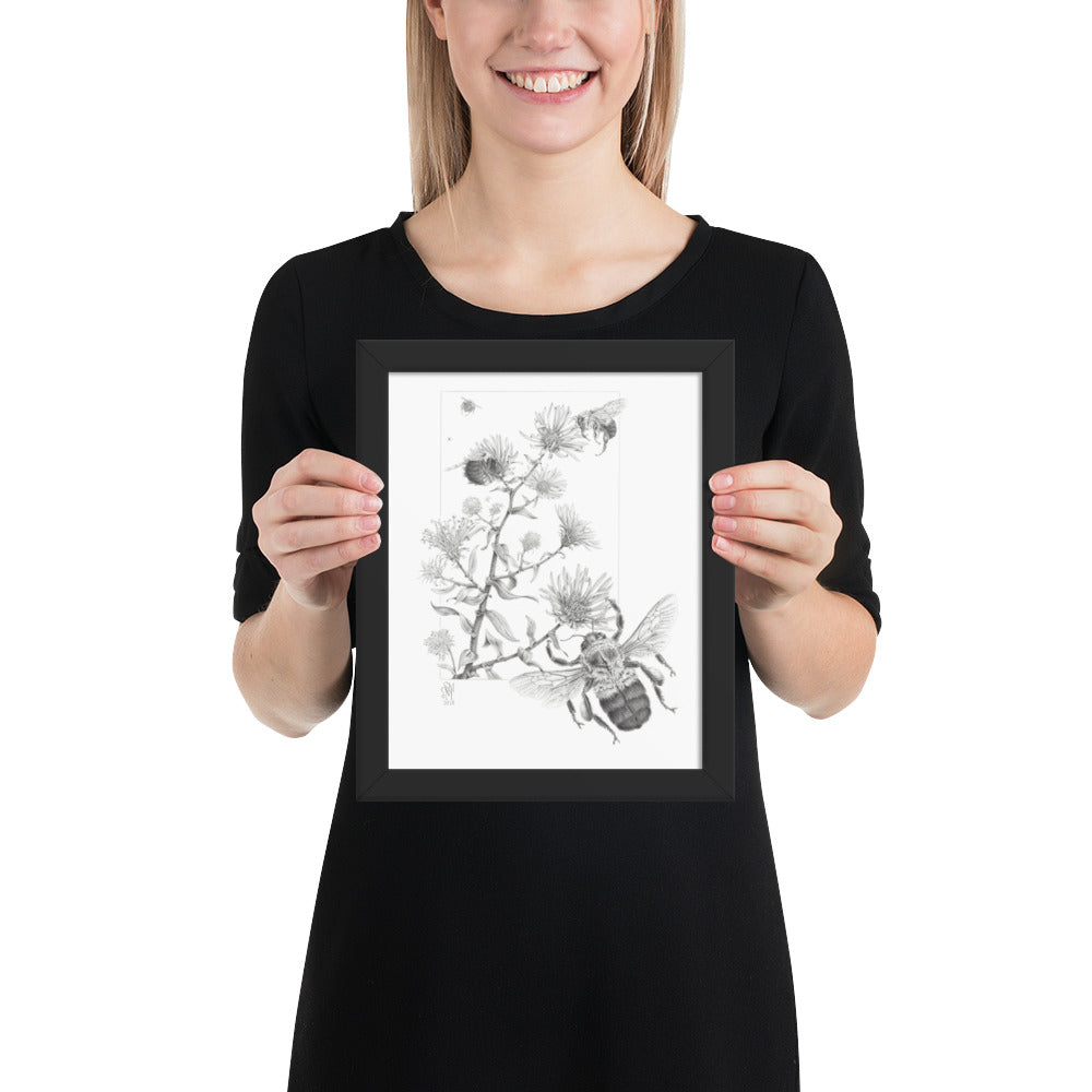 Person holding 8x10 inch black framed print of Late Autumn Forage illustration of bumblebees and asters to show relative size. Illustrated by Suzanne Matheson, 2017.