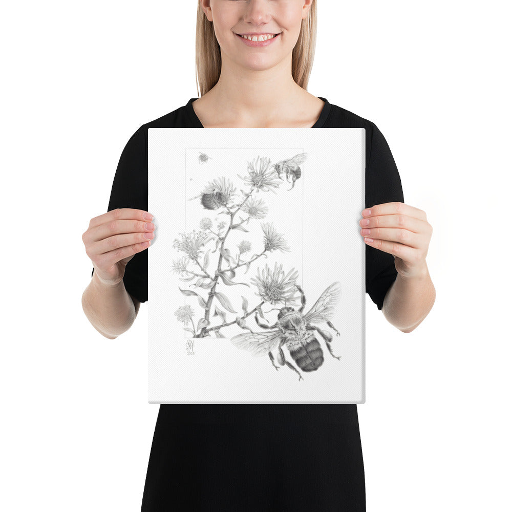 Person holding 11x14 inch gallery-wrapped canvas of Late Autumn Forage illustration of bumblebees and asters to show relative size. Graphite illustration by Suzanne Matheson, 2017.