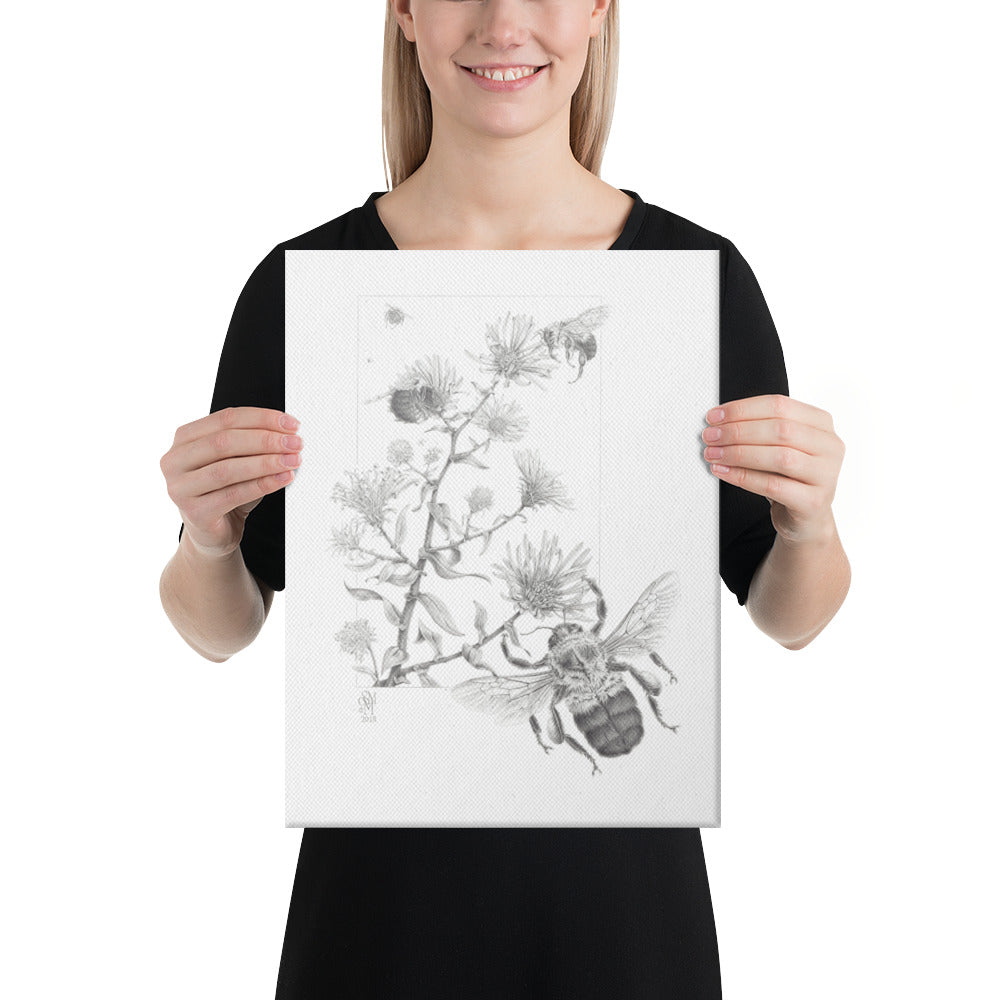 Person holding 12x16 inch gallery-wrapped canvas of Late Autumn Forage illustration of bumblebees and asters to show relative size. Graphite illustration by Suzanne Matheson, 2017.