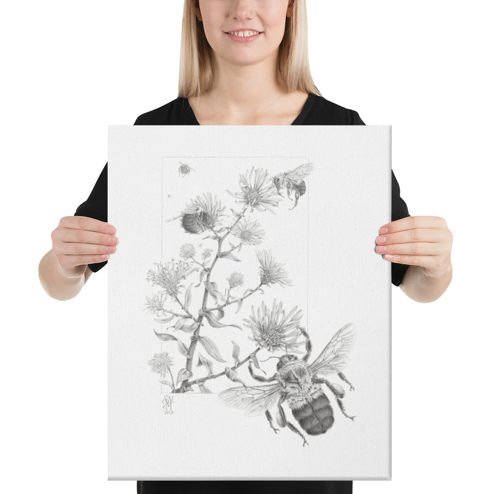 Person holding 16x20 inch gallery-wrapped canvas of Late Autumn Forage illustration of bumblebees and asters to show relative size. Graphite illustration by Suzanne Matheson, 2017.