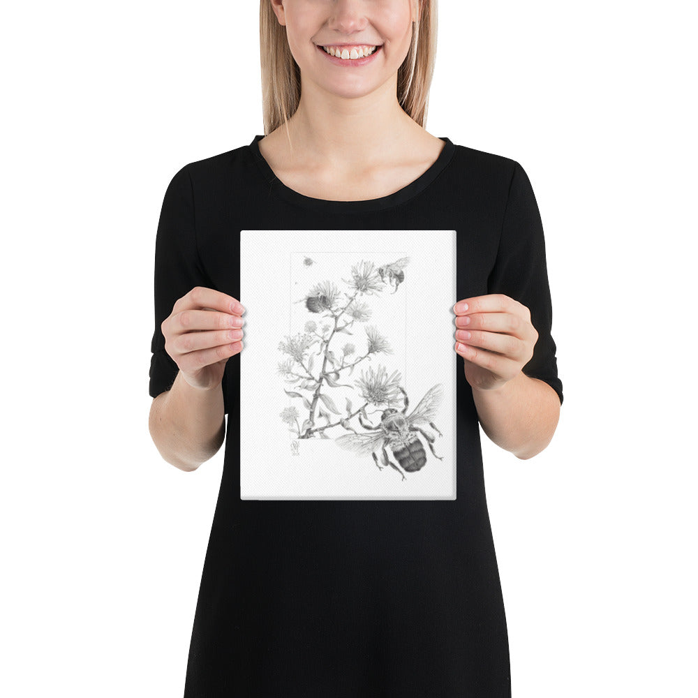 Person holding 8x10 inch gallery-wrapped canvas of Late Autumn Forage illustration of bumblebees and asters to show relative size. Graphite illustration by Suzanne Matheson, 2017.