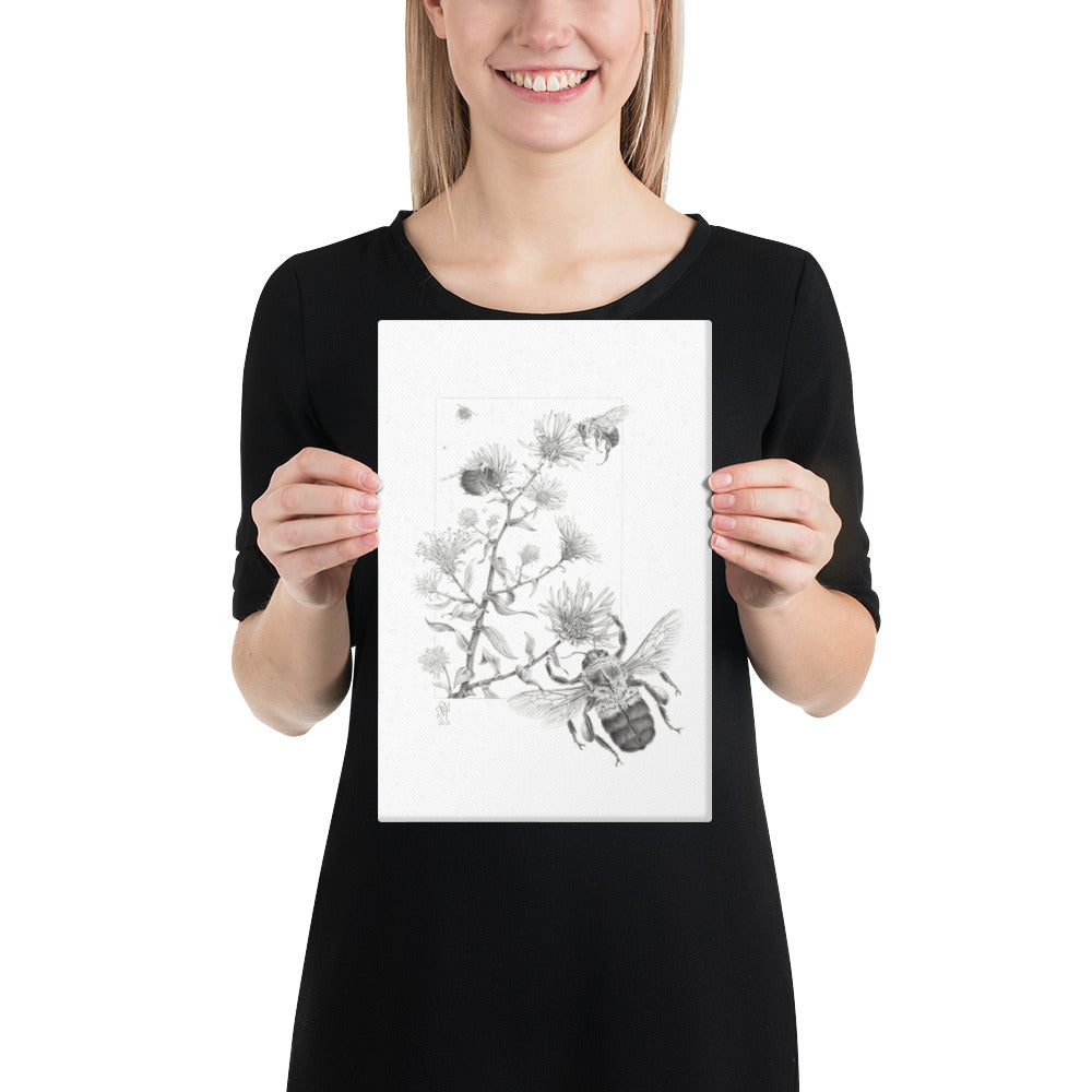 Person holding 8x12 inch gallery-wrapped canvas of Late Autumn Forage illustration of bumblebees and asters to show relative size. Graphite illustration by Suzanne Matheson, 2017.