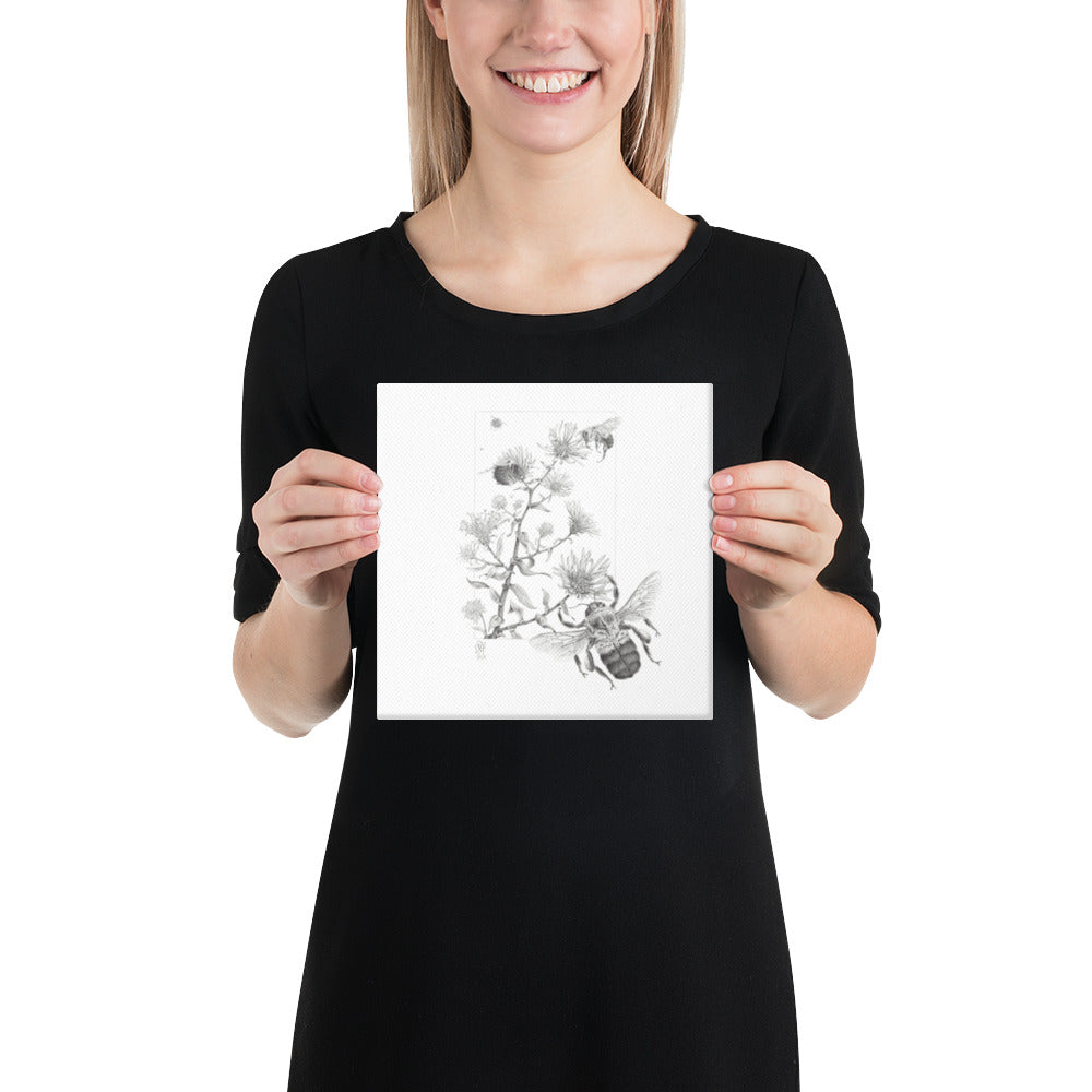 Person holding 8x8 inch gallery-wrapped canvas of Late Autumn Forage illustration of bumblebees and asters to show relative size. Graphite illustration by Suzanne Matheson, 2017.