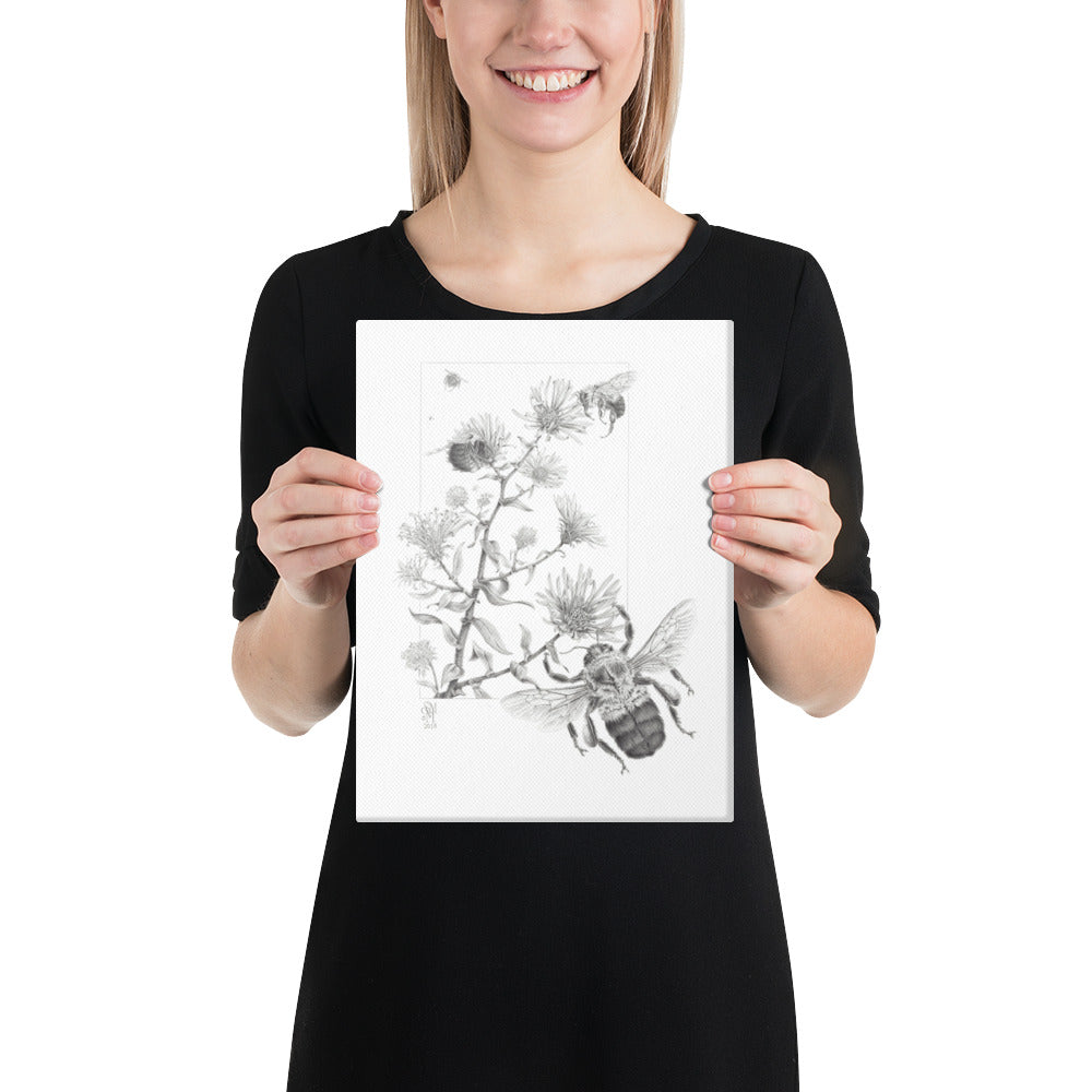 Person holding 9x12 inch gallery-wrapped canvas of Late Autumn Forage illustration of bumblebees and asters to show relative size. Graphite illustration by Suzanne Matheson, 2017.