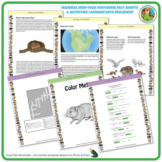 Internal pages of, 'All About Mammals - the Lemming' downloadable PDF product, an elementary-level unit by Your Own Backyard | Petals & Paws. Pages include natural history fact sheets and various printable worksheets.