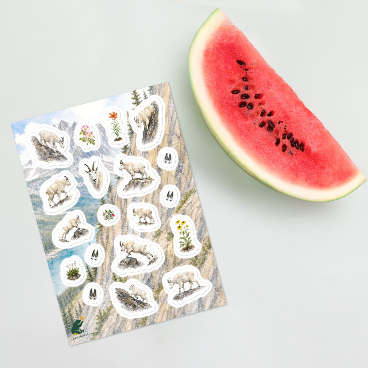 A sheet of kiss-cut stickers featuring Rocky Mountain landscape and mountain goat illustrations, placed next to a slice of watermelon.
