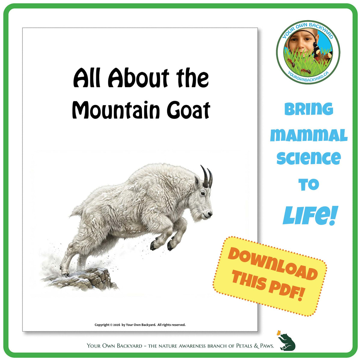 Product image for downloadable PDF, 'All About Mammals - the Mountain Goat', an elementary-level unit study product by Your Own Backyard | Petals & Paws.