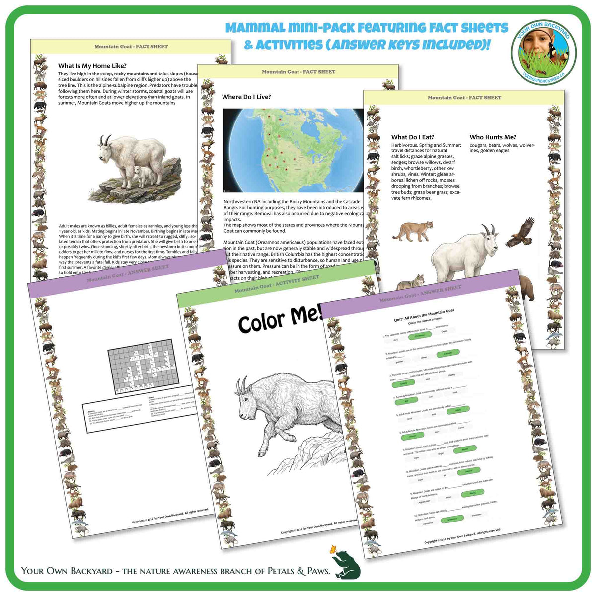 Internal pages of, 'All About Mammals - the Mountain Goat' downloadable PDF product, an elementary-level unit by Your Own Backyard | Petals & Paws. Pages include natural history fact sheets and various printable worksheets.