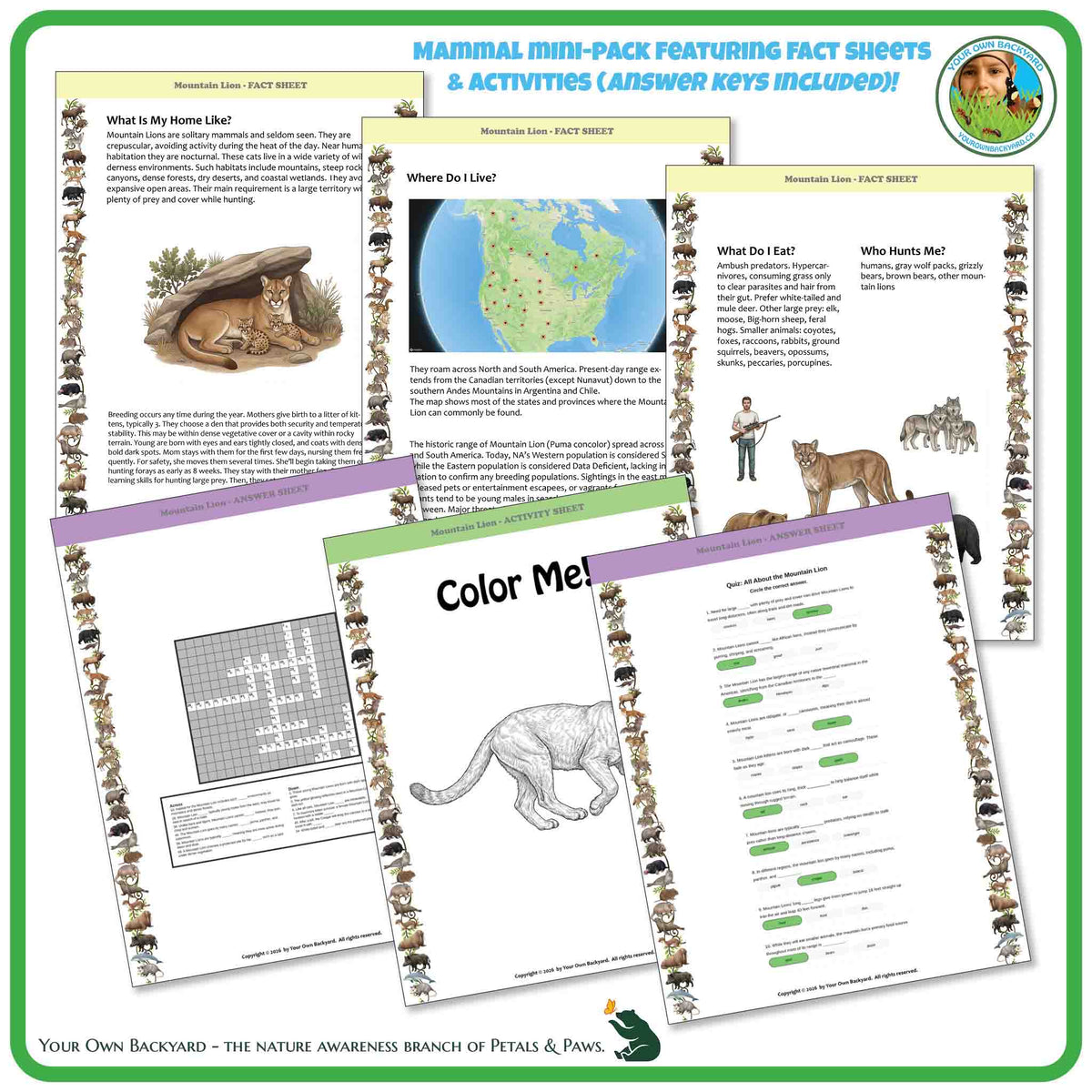 Internal pages of, 'All About Mammals - the Mountain Goat' downloadable PDF product, an elementary-level unit by Your Own Backyard | Petals & Paws. Pages include natural history fact sheets and various printable worksheets.