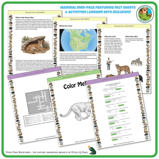 Internal pages of, 'All About Mammals - the Mountain Goat' downloadable PDF product, an elementary-level unit by Your Own Backyard | Petals & Paws. Pages include natural history fact sheets and various printable worksheets.
